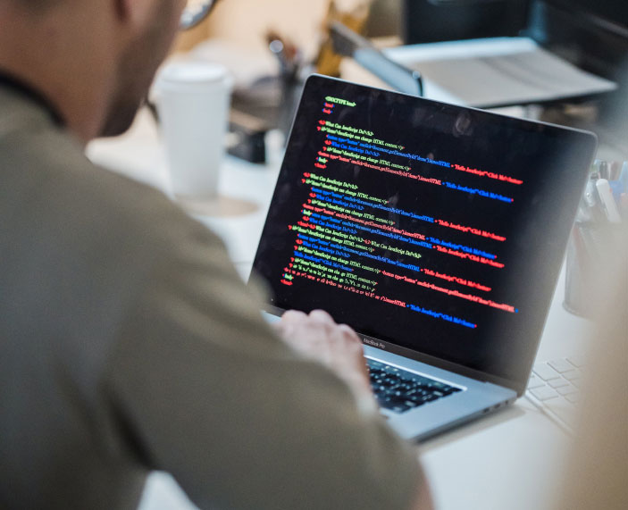 WordPress website WordPress website